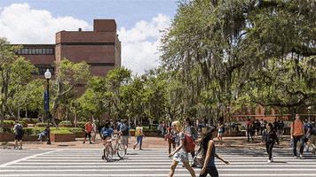 uf gainesville GIF by University of Florida