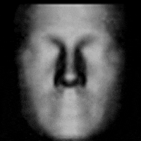 eigen faces GIF by Adam Ferriss