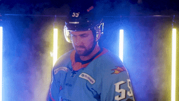 Hockey Echl GIF by Toledo Walleye