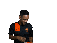 Celebrate Euro 2020 Sticker by Jake Martella