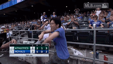 kc GIF by MLB