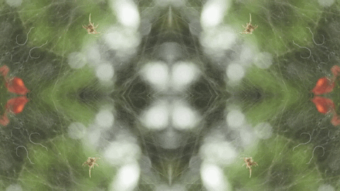 Art Love GIF by jorgemariozuleta