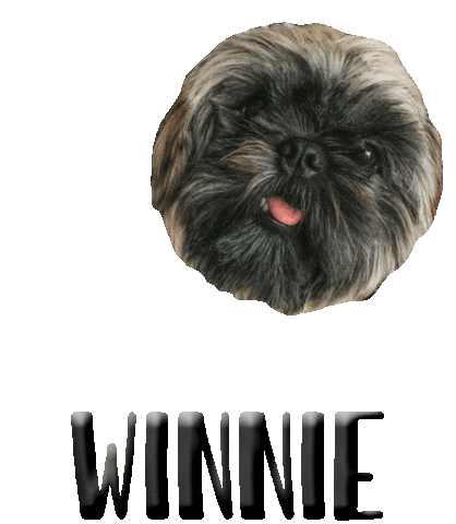 Dog Winnie Sticker