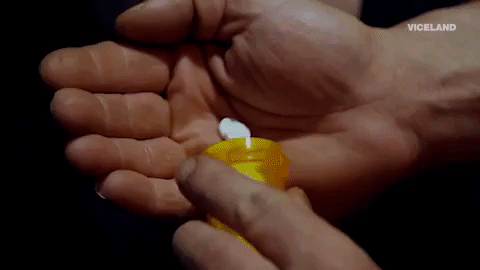 viceland GIF by Kentucky Ayahuasca