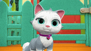 Dance Cat GIF by Moonbug