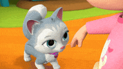 Dance Cat GIF by Moonbug