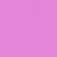 Vote Election GIF by INTO ACTION