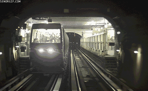 subway trains GIF by Cheezburger