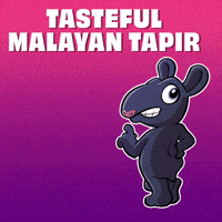 GIF by VeeFriends