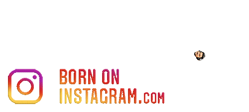 Round Round Rajas Sticker by BORN ON INSTAGRAM
