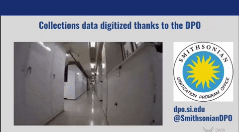 jenniferhorne7c70db32126742a3ad3b87966039ac99 giphygifgrabber smithsonian data-centric ai process GIF