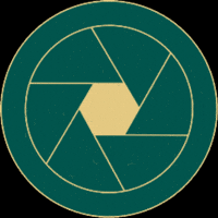 Camera Multimedia GIF by NXTLevelStudios