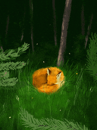 veronika_goetz fox sleepy forest cozy GIF