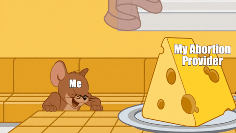 Tom & Jerry gif. Jerry the Mouse jumps for joy on a kitchen counter before running over to a large chunk of Swiss cheese and embracing it fondly, closing his eyes in bliss. Jerry is labeled "Me," and the cheese is labeled, "My abortion provider."