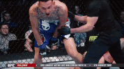 ufc 212 mma GIF
