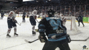 Angry Fight GIF by Quad City Storm