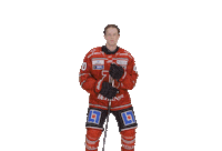 Orebro Sticker by Örebro Hockey