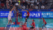 Germany Block GIF by Volleyball World