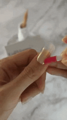 aja1234 giphyupload GIF