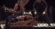 10P GIF by The Hive MMA