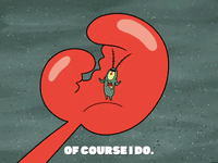 season 4 GIF by SpongeBob SquarePants