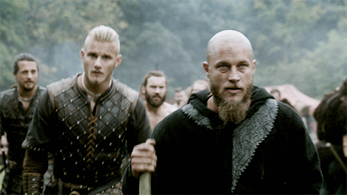 vikings GIF