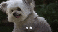 Yeah!