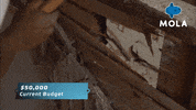 Vintage Living GIF by MolaTV