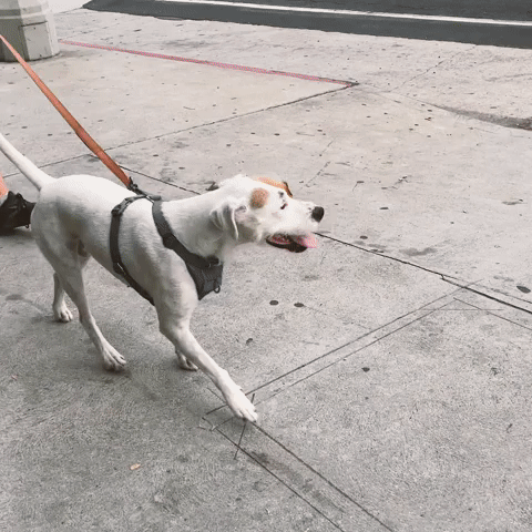 Mission Accomplished