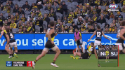 GIF by AFL