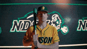 Ndsu Baseball GIF by NDSU Athletics