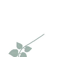 Joueric9 Sticker
