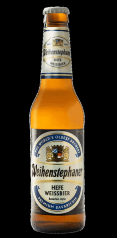 weihenstephanusa giphygifmaker beer germany german GIF