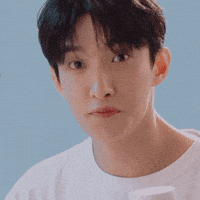 Dk 세븐틴 GIF