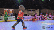 ice hockey sport GIF by NHL