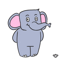 zoogif love flowers elephant GIF