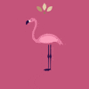 Pink Be Free GIF by Aloha