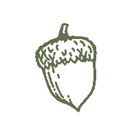 Squirrel Nuts Sticker by Arbor Drive