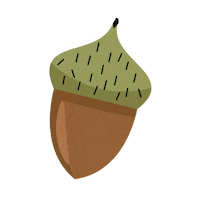 Happy Squirrel Sticker by Educational Insights