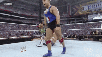 santino marella wrestling GIF by WWE