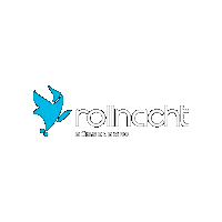 Rollnacht dusseldorf skatenight bladenight rollnacht Sticker