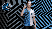 Watch Out Zebras GIF by BS+COMPETITION