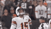 National Football League GIF by NFL