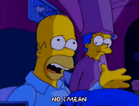 Season 3 No GIF by The Simpsons