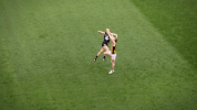 carlton fc punch GIF by Carlton Football Club
