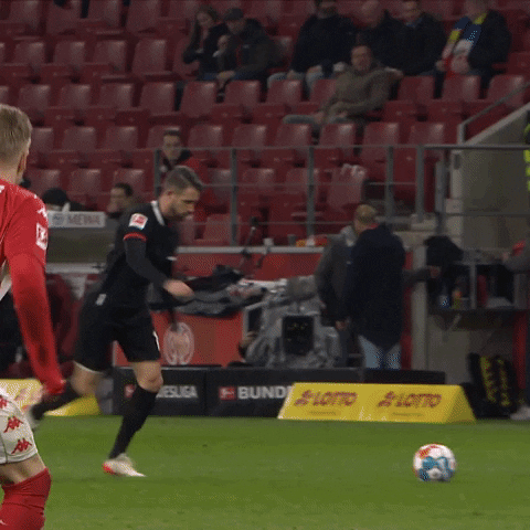 1 Fc Cologne Football GIF by 1. FC Köln