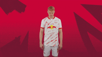 Sport Rbl GIF by RB Leipzig