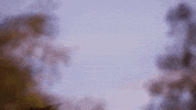 TXChainSawGame texas chainsaw massacre tcsm texas chainsaw massacre game GIF