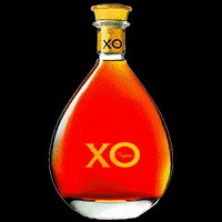 Cognac GIF by Radio LA16.fr en Charente