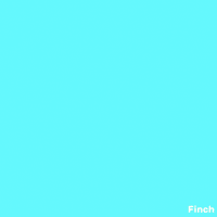 Zodiac Sign Penguin GIF by Finch Care
